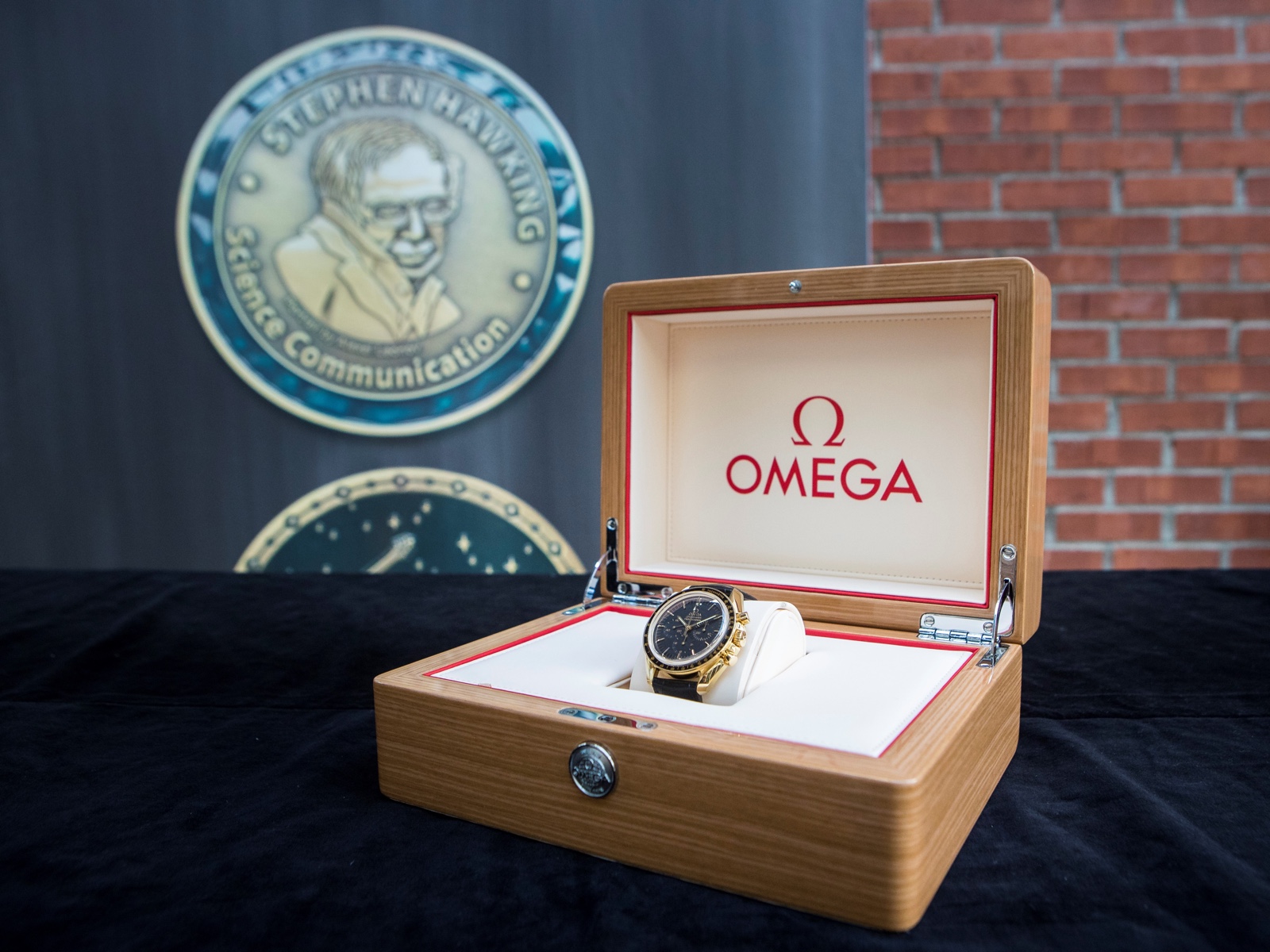 Omega Speedmaster Professional Starmus Watch