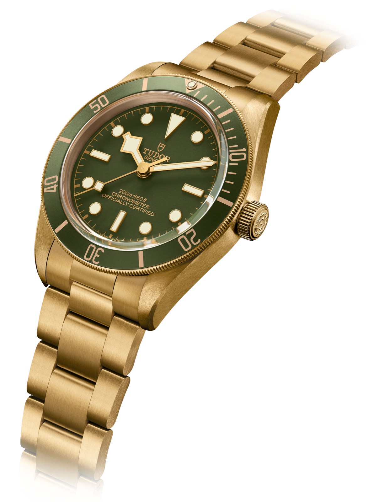 Tudor Black Bay oro amarillo