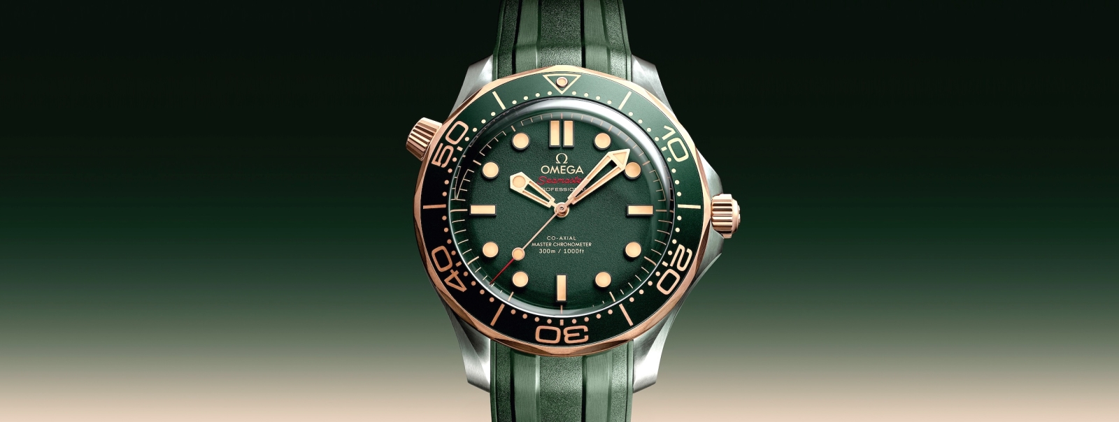 Omega Seamaster Diver 300M Titanium and Bronze