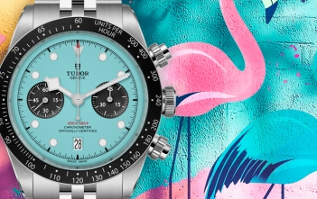 Tudor Black Bay Chrono Flamingo Blue_cover